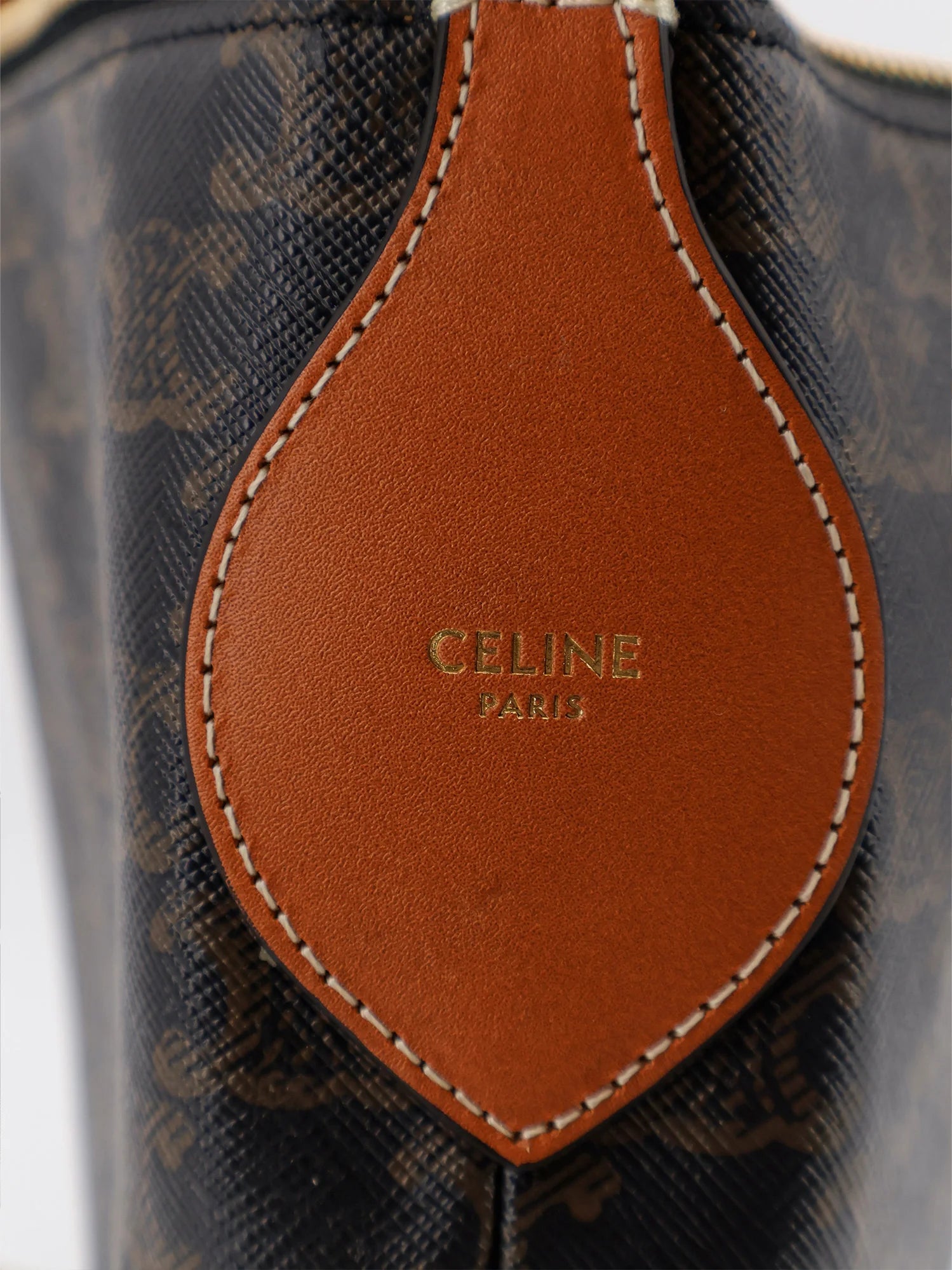 Duo Triomphe Canvas Shoulder Bag